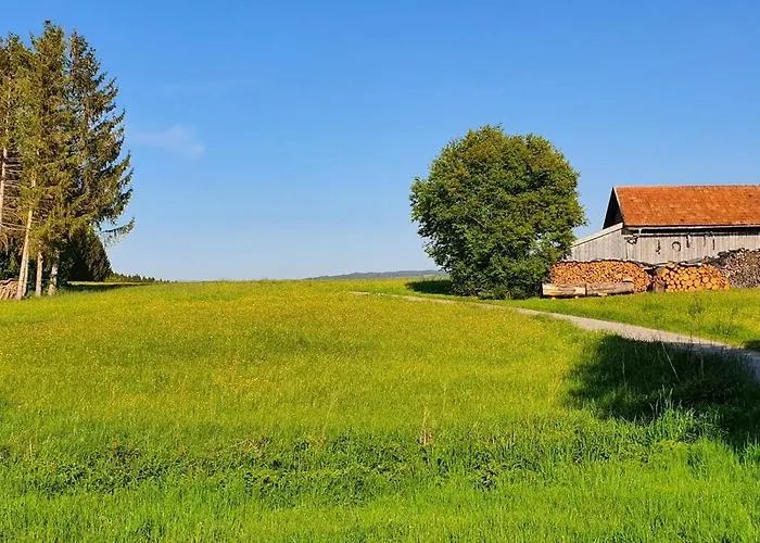 Prázdninový dům Hochbergle Haus 34 *